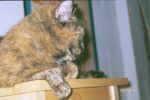 004_04.JPG