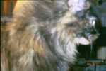 009_09.JPG